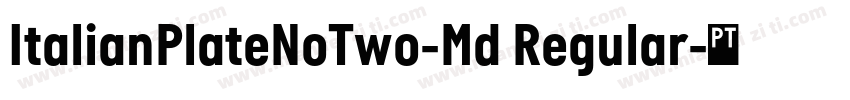 ItalianPlateNoTwo-Md Regular字体转换